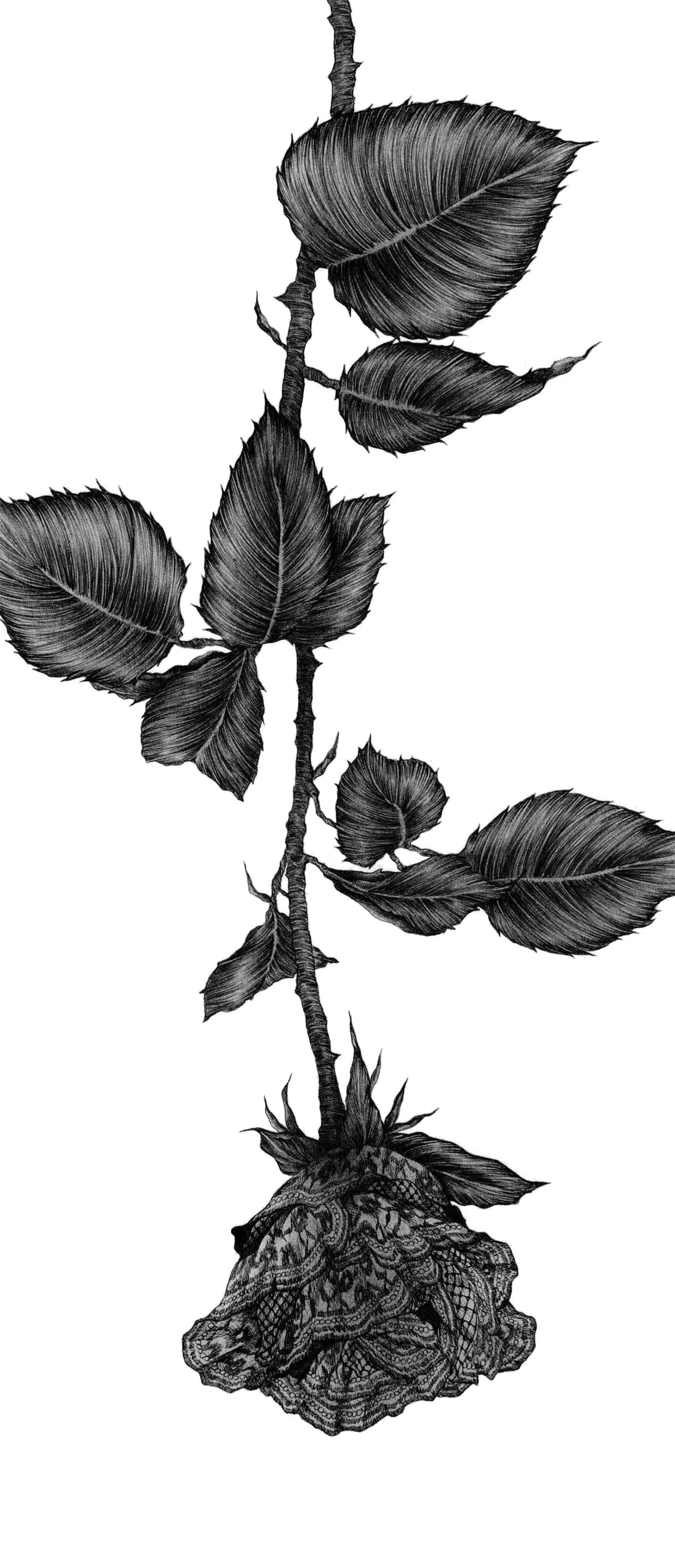 upside down rose