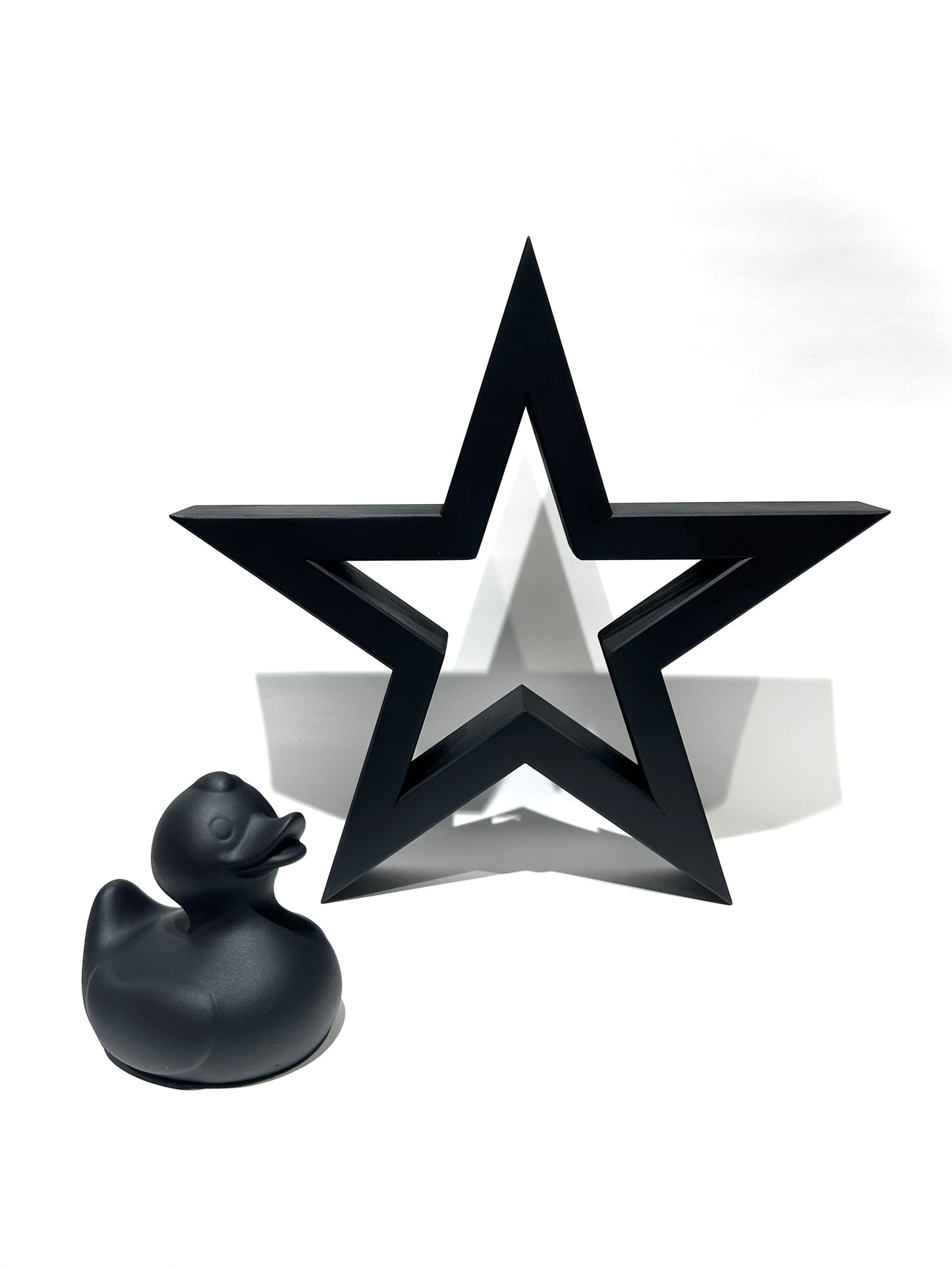 WOMDEN STAR with DUCK