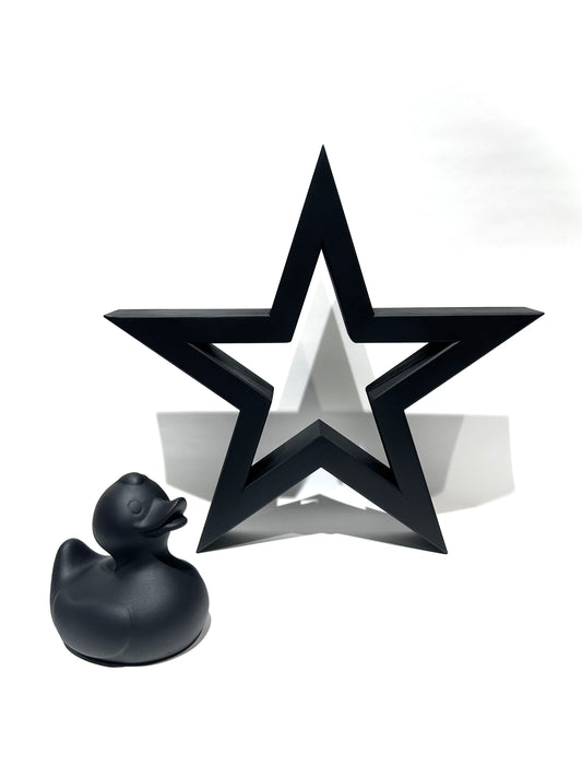 WOMDEN STAR with DUCK