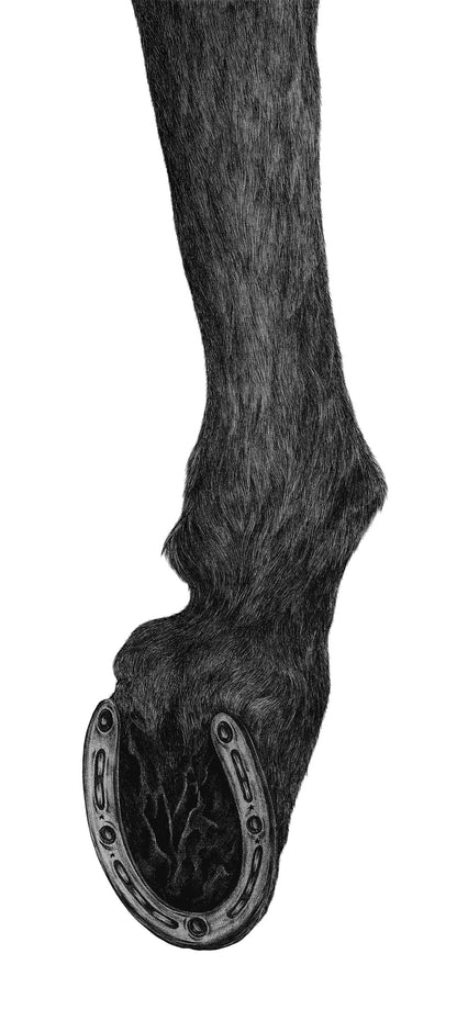 horse legs