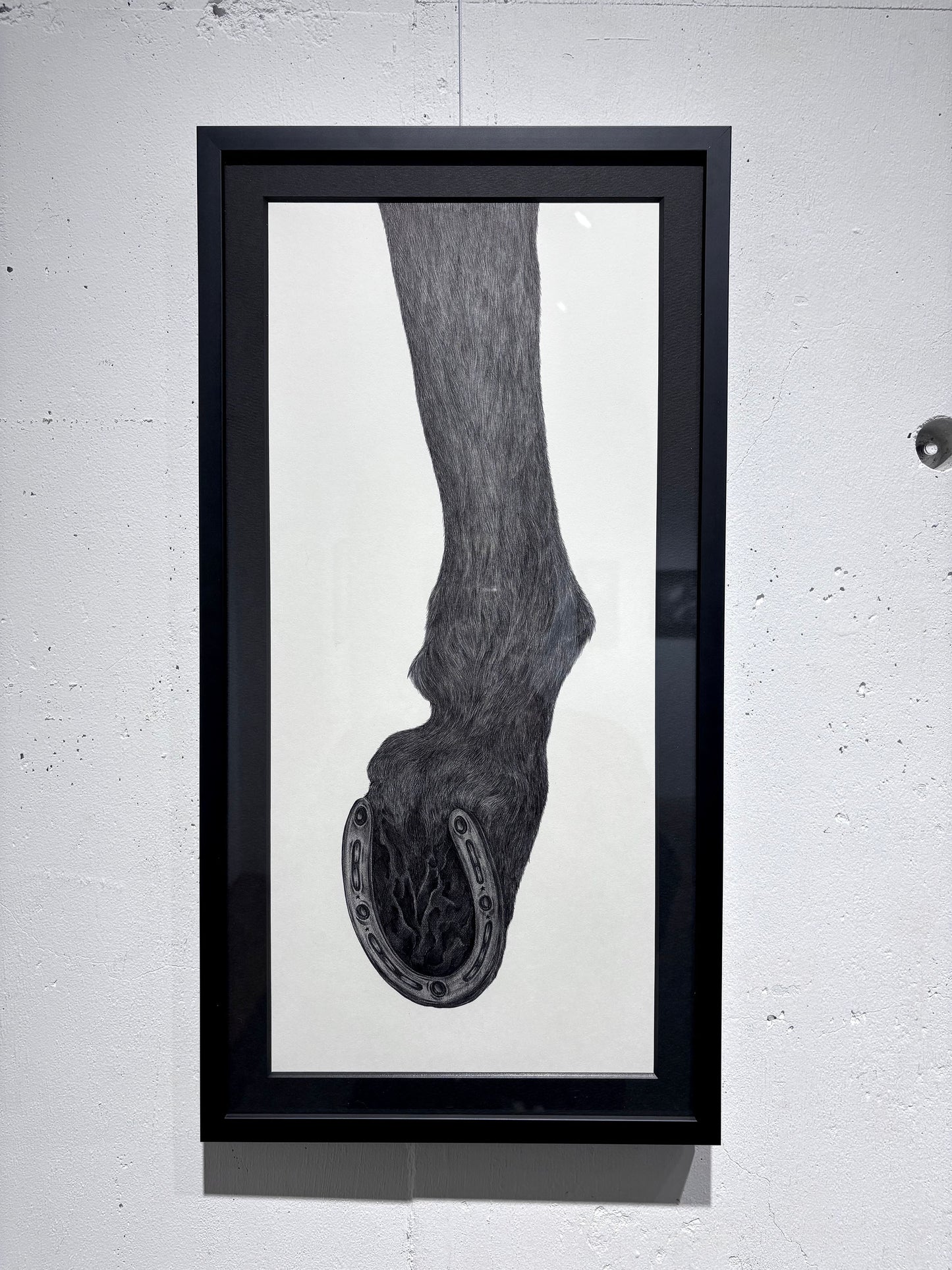 horse legs