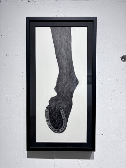 horse legs