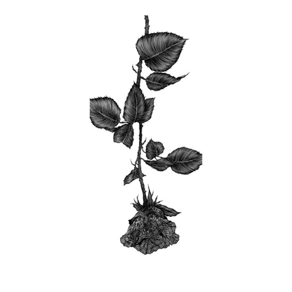 upside down rose